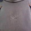 Arc'teryx Detente hoodie