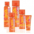 Mark Hill Holiday Hair range