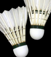 Badminton-news-anchor