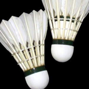 Badminton-news-anchor