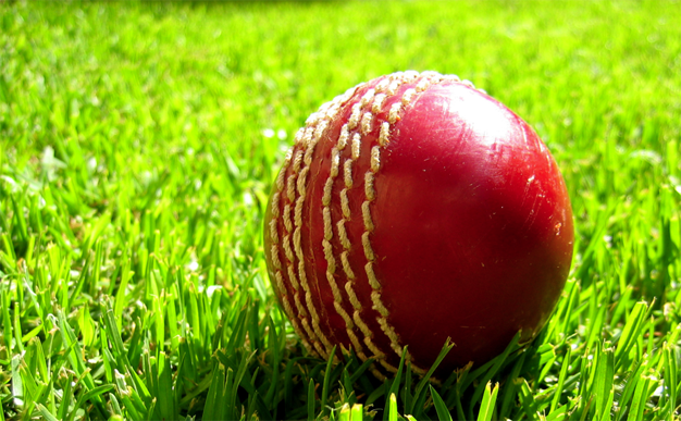 Cricket-news-anchor