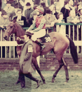 meriel-tufnell_scorched-earth_kempton-park-racecourse_finishing-second-in-the-first-ladies-race-in-may-1972