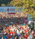 RPFHM2013