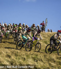 Red-Bull-Fox-Hunt