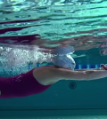 Swimcoach2