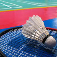 badminton