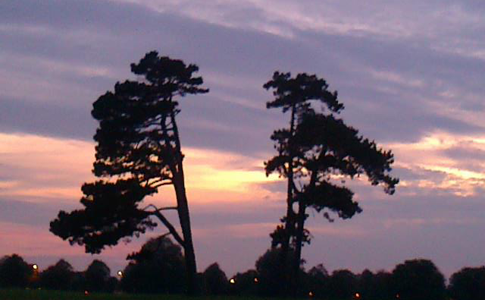 Sunrise whilst out on one of my many runs